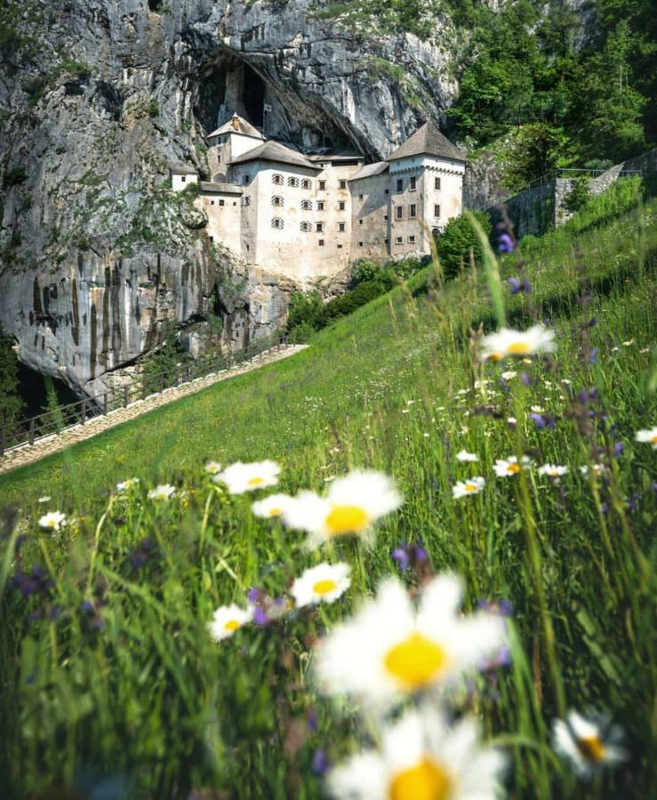 Odisey Postojna Exterior foto